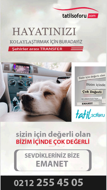 marmaris zel fr kiralama